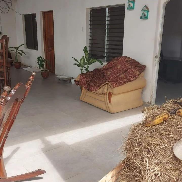 Hostal Brisas Del Ometepe Rivas Bagian luar foto